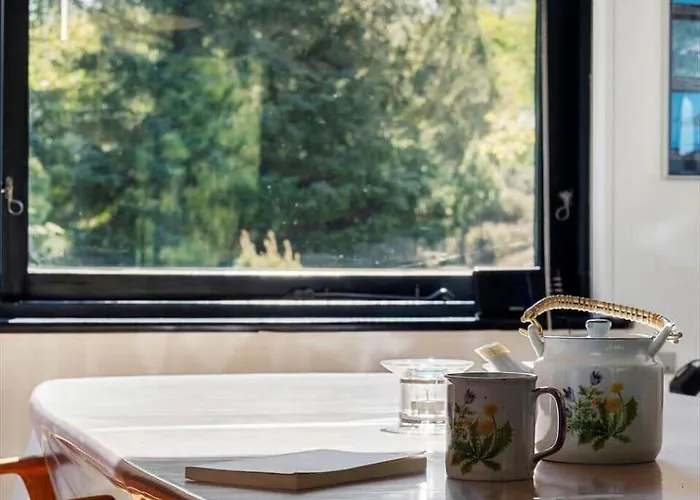 0204-romo-p-s-carlsvej-6 Tagholm